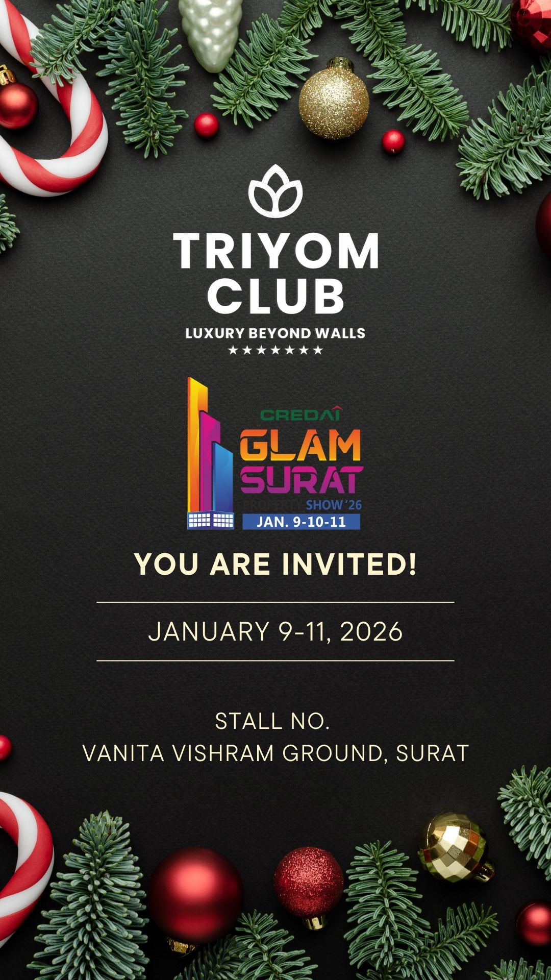 Green Red Christmas Invitation Christmas Party Instagram Story